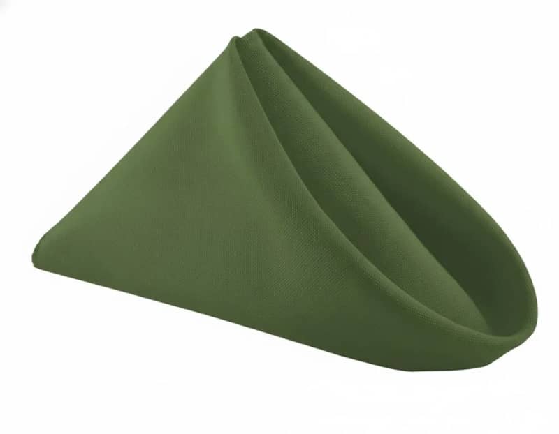 Willow Green Polyester Napkin 20 x 20 for rent in Arnprior