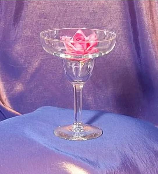 Margarita Glass Set for rent in Kanata