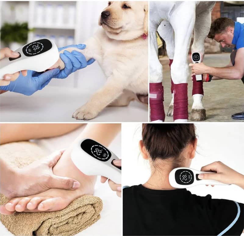 Cold Laser Therapy Device for Humans or Animals – photo 4 in Kemptville