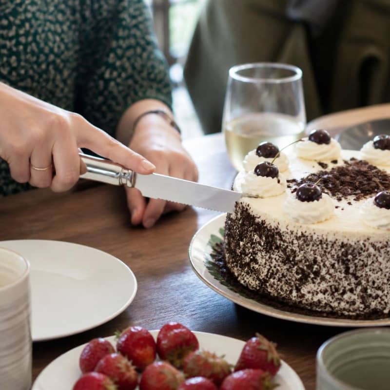 Cake Knife - Stainless Steel Party-Event 2/3