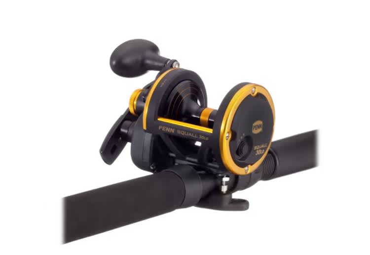 PENN Squall 30 and 40 Lever Drag Conventional Rod/Reel Combo – photo 3 in Broomall