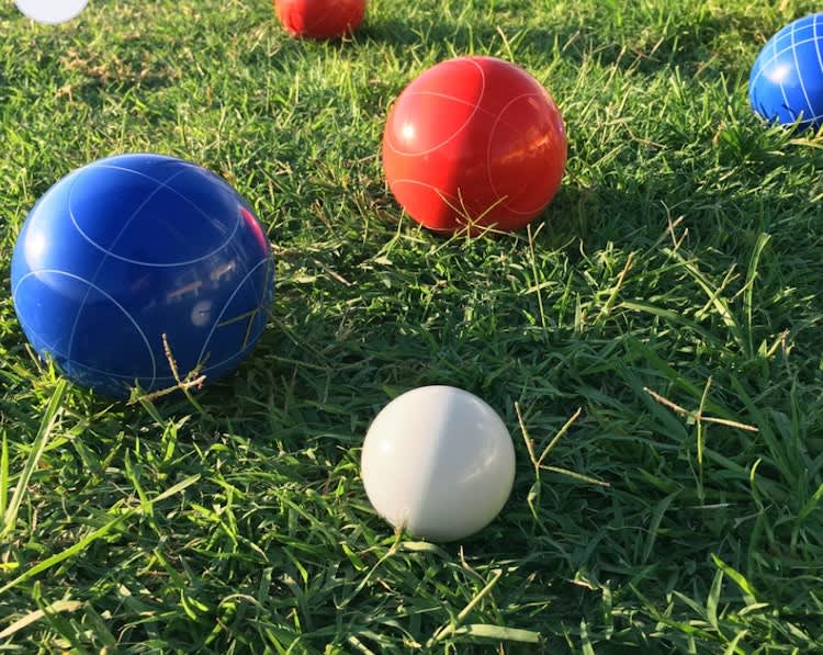 Bocce Ball Premium 4 Color Set – photo 6 in Broomall