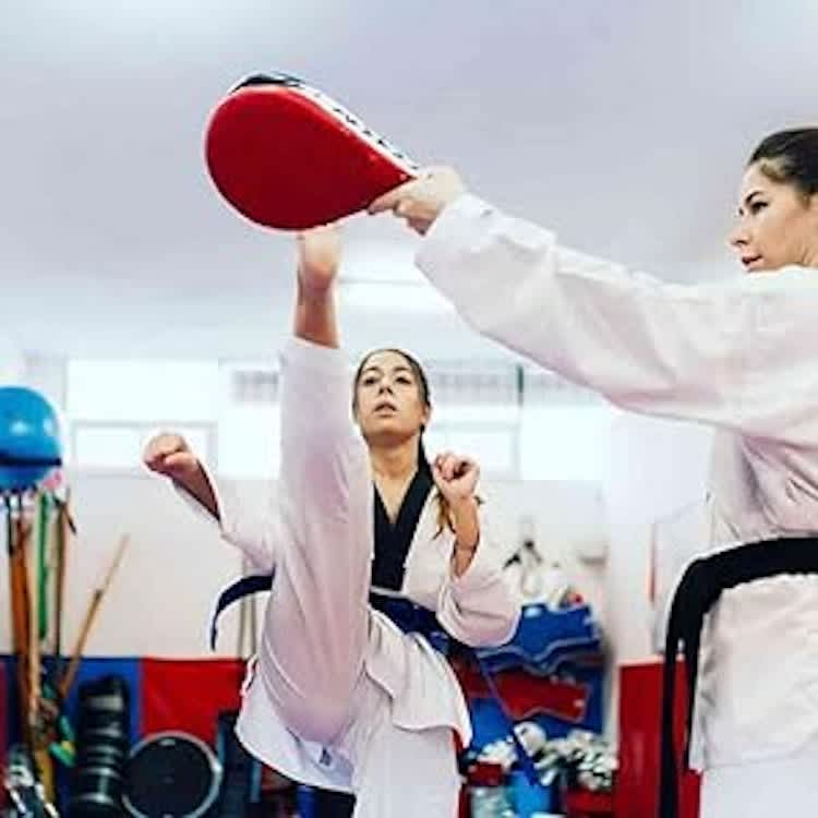 2 Pack Taekwondo Kick Pads, Durable Striking Pad Target for rent in Kanata