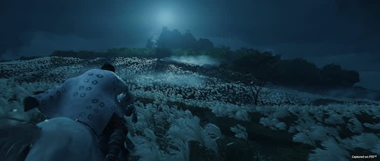 Ghost of Tsushima Director’s Cut - PlayStation 5 – photo 5 in Kanata