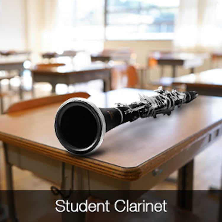 Eastar B Flat Clarinet for Beginner for rent in Kanata