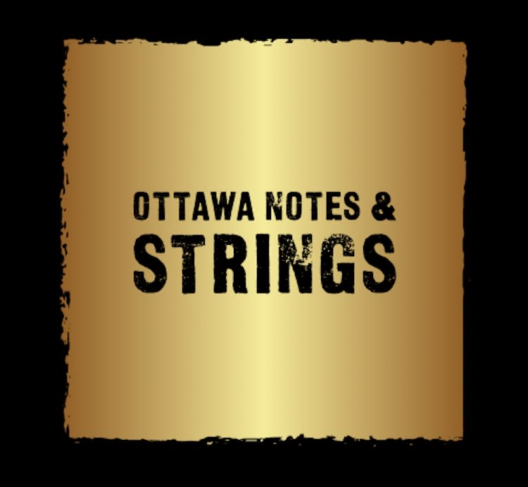 Full-Size LyxPro Electric Guitar Rental – photo 10 in Kanata