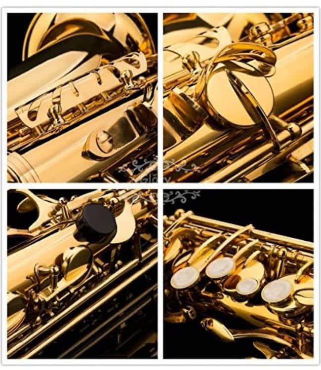 Glory Professional Alto Eb SAX Saxophone Gold Laquer Finish – photo 8 in Kanata