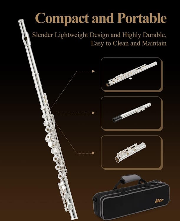 Eastar C Flutes Open Hole 16 Keys Flute for Beginner – photo 2 in Kanata