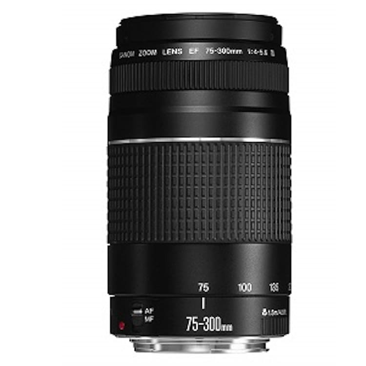 Canon EF 75-300mm f/4-5.6 III Telephoto Zoom Lens for Canon for rent in Ottawa