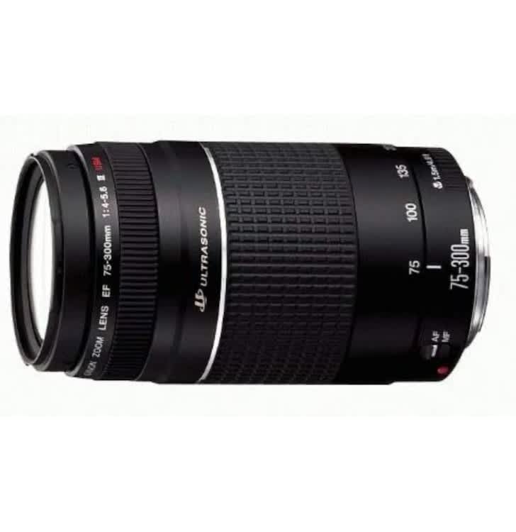 Canon EF 75-300mm f/4-5.6 III Telephoto Zoom Lens for Canon – photo 3 in Ottawa