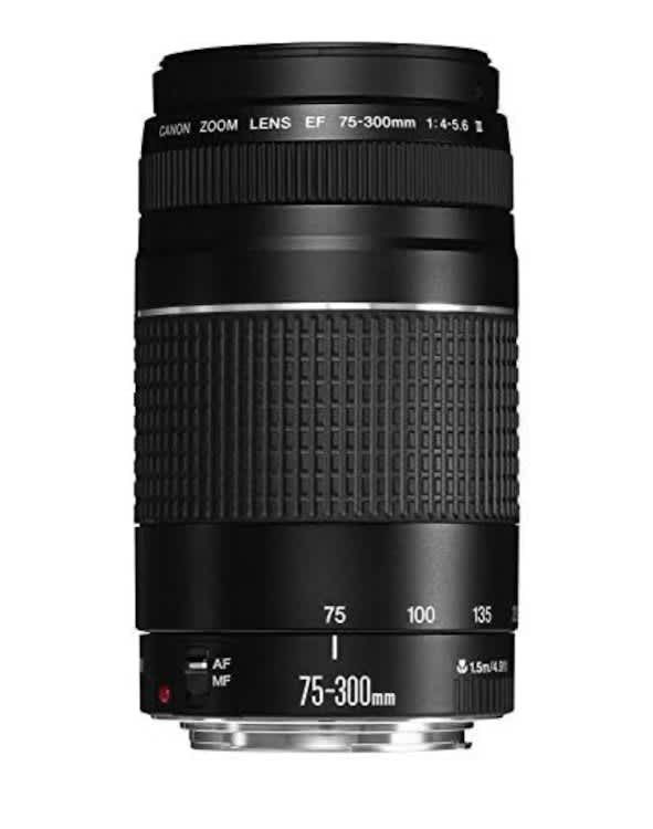 Canon EF 75-300mm f/4-5.6 III Telephoto Zoom Lens for Canon – photo 4 in Ottawa
