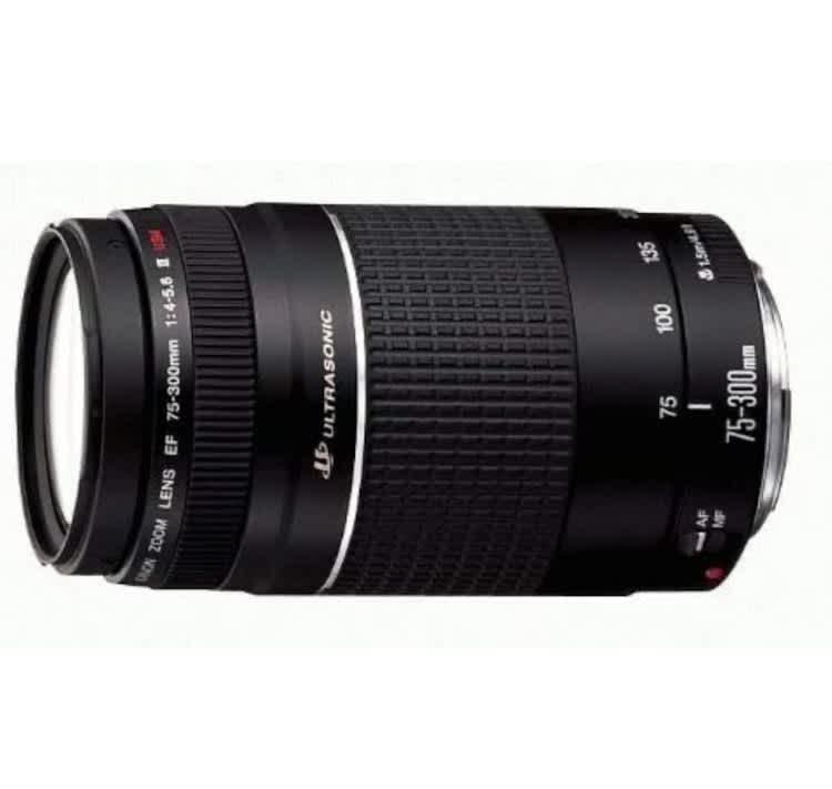 Canon EF 75-300mm f/4-5.6 III Telephoto Zoom Lens for Canon – photo 5 in Ottawa