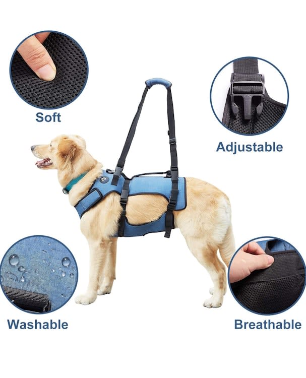 Large Dog Lift Harness – photo 2 in Kanata