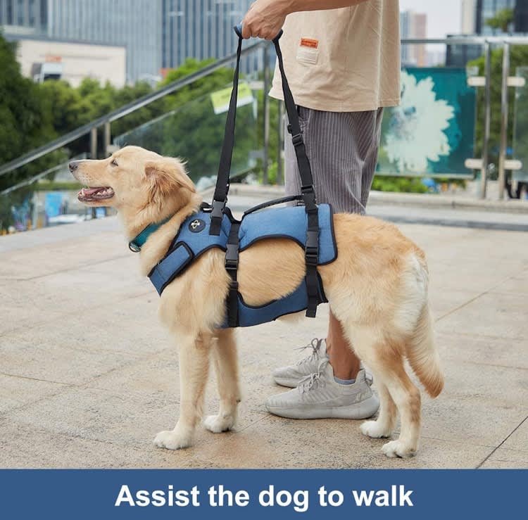 Double Extra Large Dog Lift Harness – photo 2 in Kanata