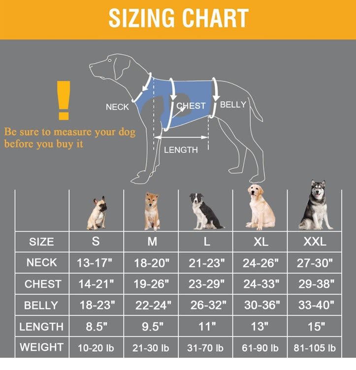 Double Extra Large Dog Lift Harness – photo 4 in Kanata