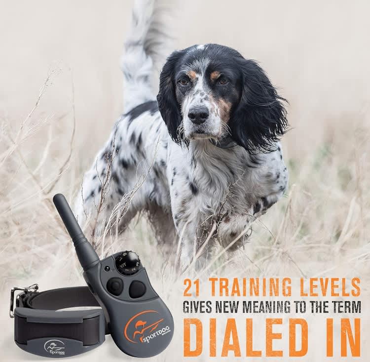 Rechargeable Dog Training Collar for rent in Kanata