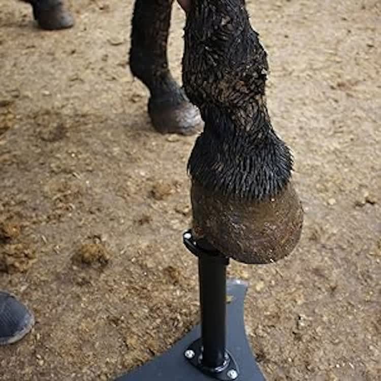 Adjustable Height Hoof Jack Farrier Stand Horse Hoof – photo 2 in Kanata