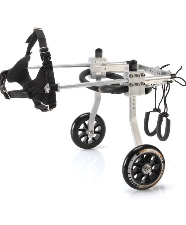 Small Dog Care Chair For Back Legs – photo 6 in Kanata