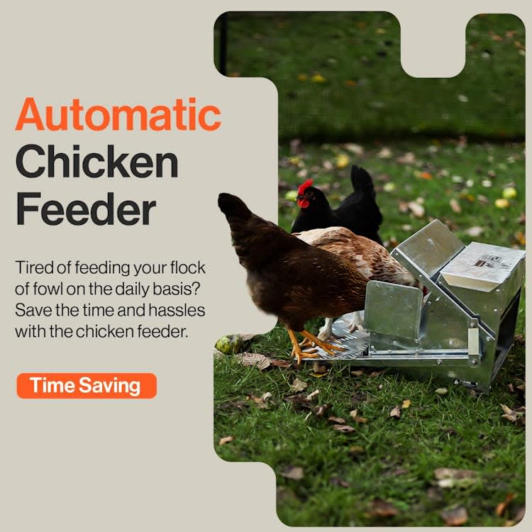 Chicken Feeder Automatic 20lbs (9kg) Capacity for rent in Kanata