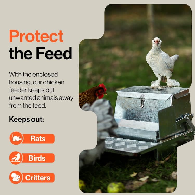 Chicken Feeder Automatic 20lbs (9kg) Capacity – photo 3 in Kanata