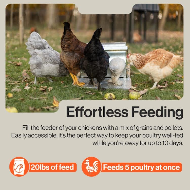 Chicken Feeder Automatic 20lbs (9kg) Capacity – photo 5 in Kanata