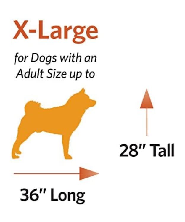 Extra Large Animal / Dog Crate – photo 6 in Kanata