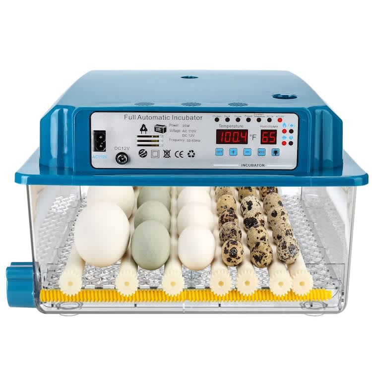 Egg Incubator with Automatic Turner for 36 Eggs – photo 5 in Kanata