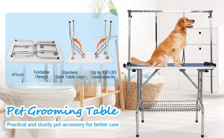 47" Large Dog Grooming Table – photo 2 in Kanata