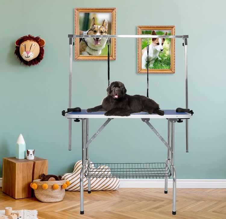 47" Large Dog Grooming Table – photo 7 in Kanata