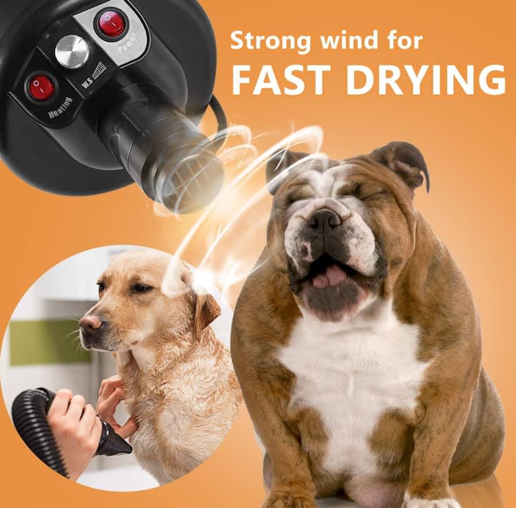 Professional Quick Dry Pet / Dog Grooming Dryer BloweR for rent in Kanata