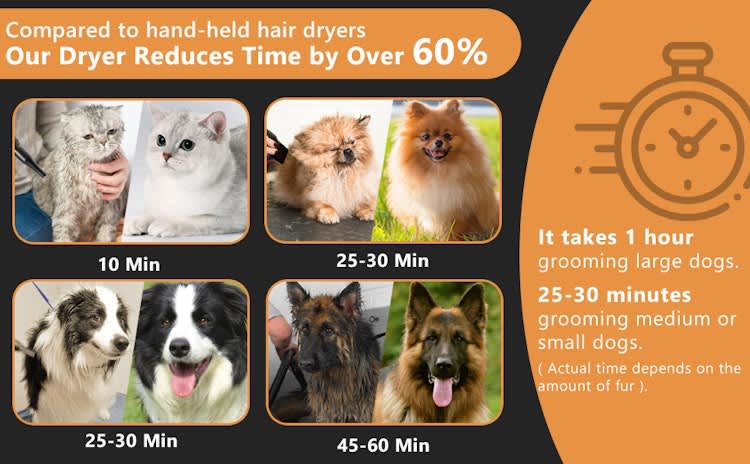 Professional Quick Dry Pet / Dog Grooming Dryer BloweR – photo 2 in Kanata