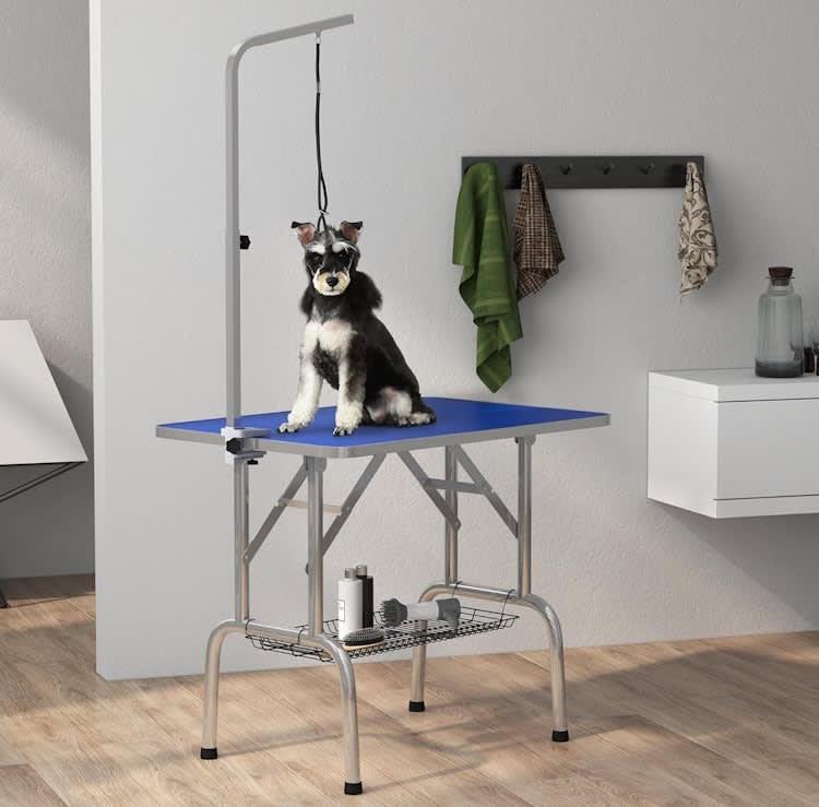 Dog / Cat Grooming Table with Adjustable Grooming Arm – photo 4 in Kanata