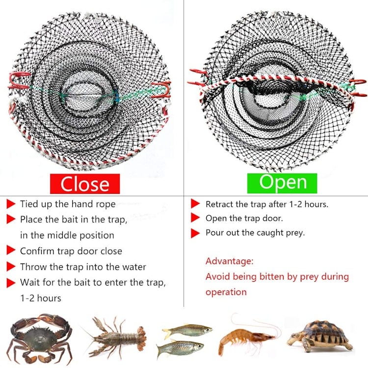 Fishing Bait Trap – photo 2 in Kanata