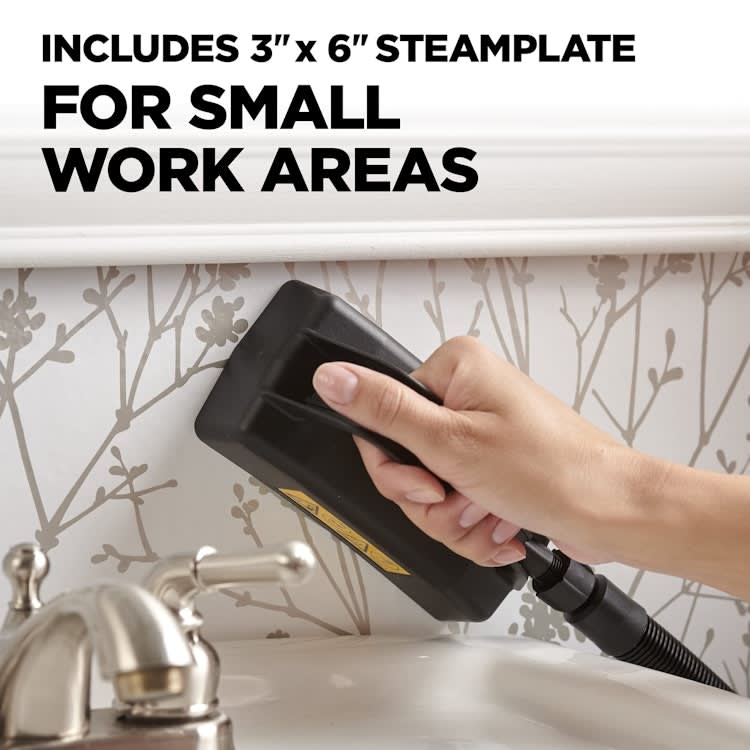 Wagner Spraytech Wallpaper Steamer – photo 4 in Nepean
