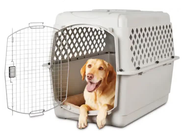 Dog/Pet Kennel, Lockable, 40-in for rent in Nepean