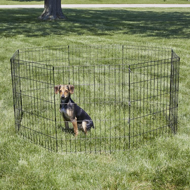 Foldable Exercise Pet Playpen, Black, Medium/24" x 30" – photo 2 in Nepean