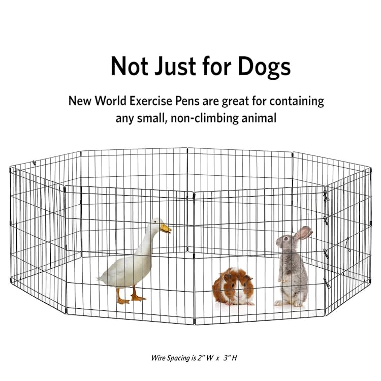 Foldable Exercise Pet Playpen, Black, Medium/24" x 30" – photo 5 in Nepean