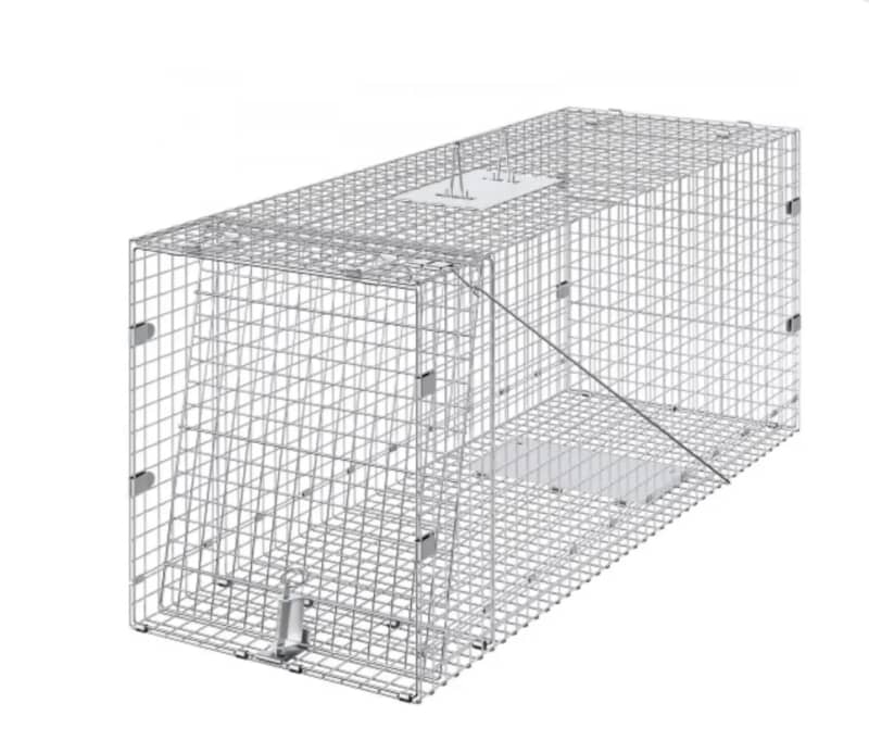 Animal Trap Rental – Orléans Wildlife Solutions – photo 10 in Orléans