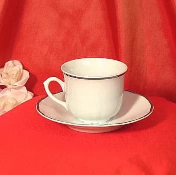 SDS cup - 6oz for rent in Orléans