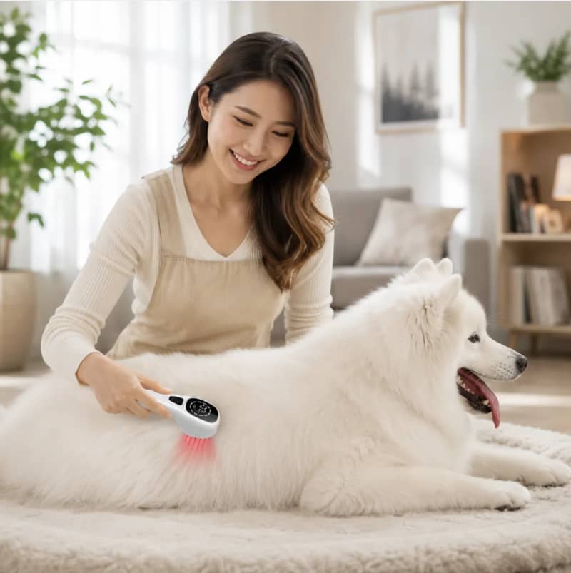 Portable 808nm Cold Laser Therapy Device for Humans and Pets for rent in Kanata