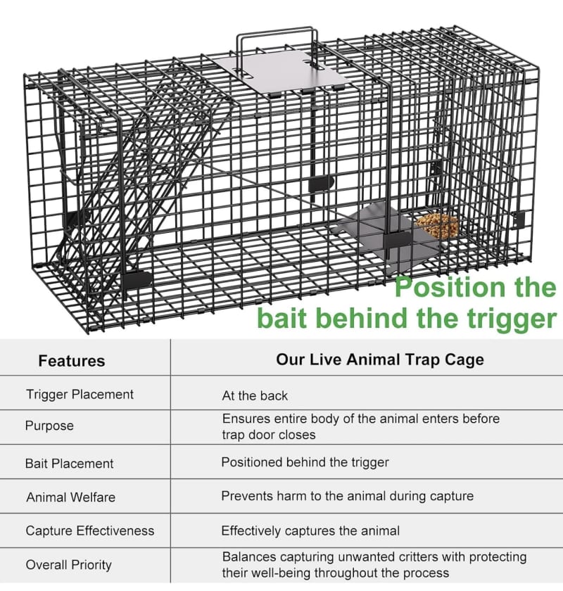 Humane Live Animal Cage Trap – photo 3 in Ottawa