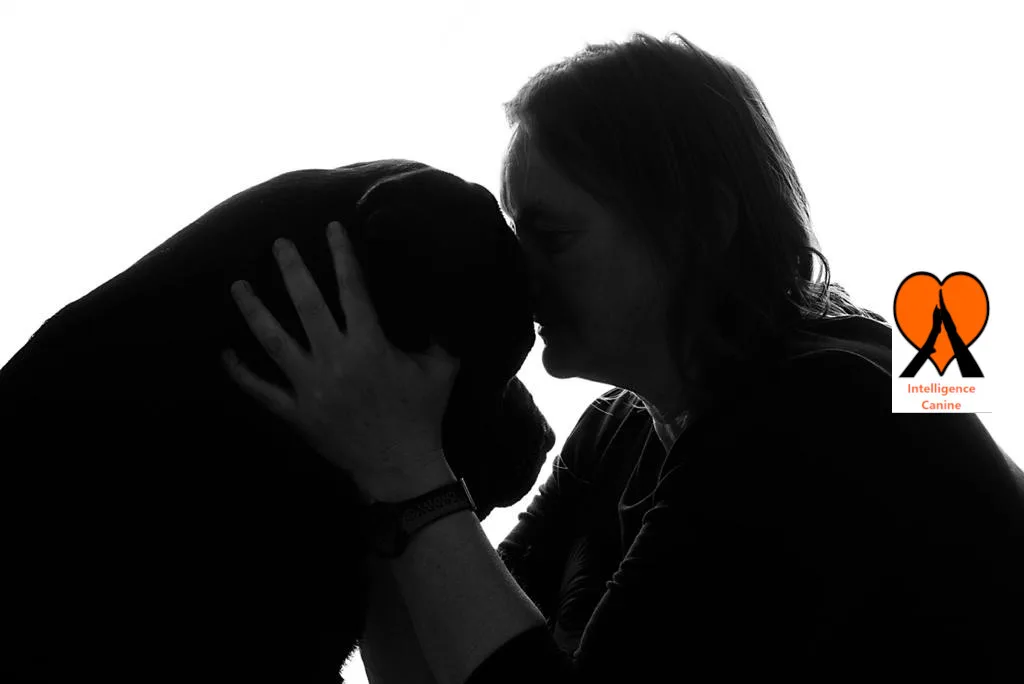 images de chiens 