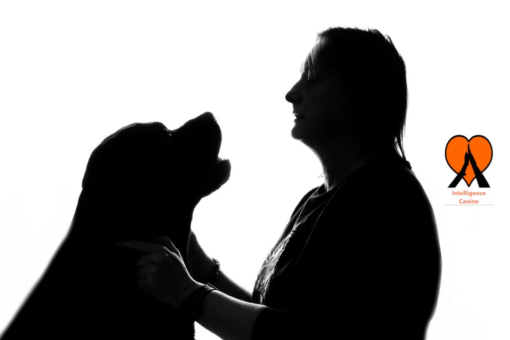 images de chiens 
