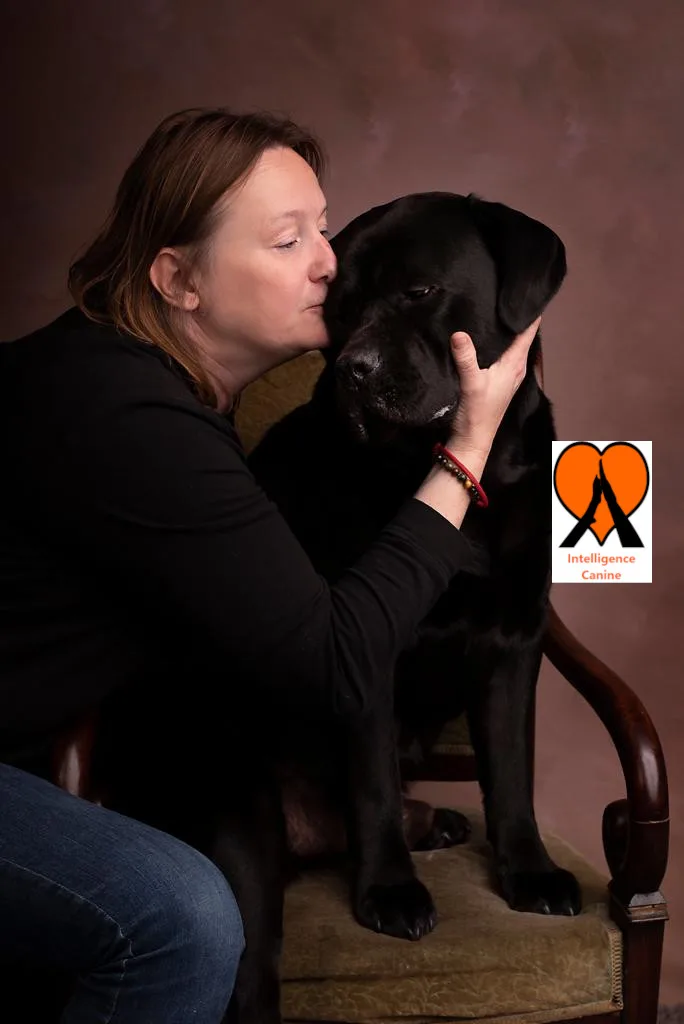 images de chiens 