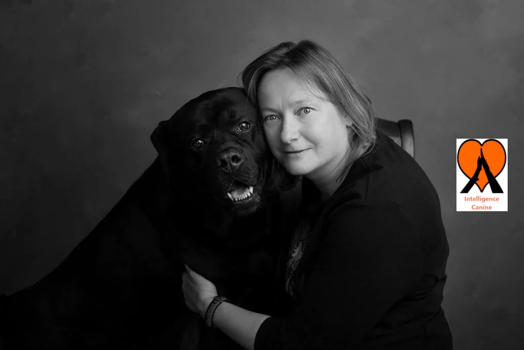 images de chiens 
