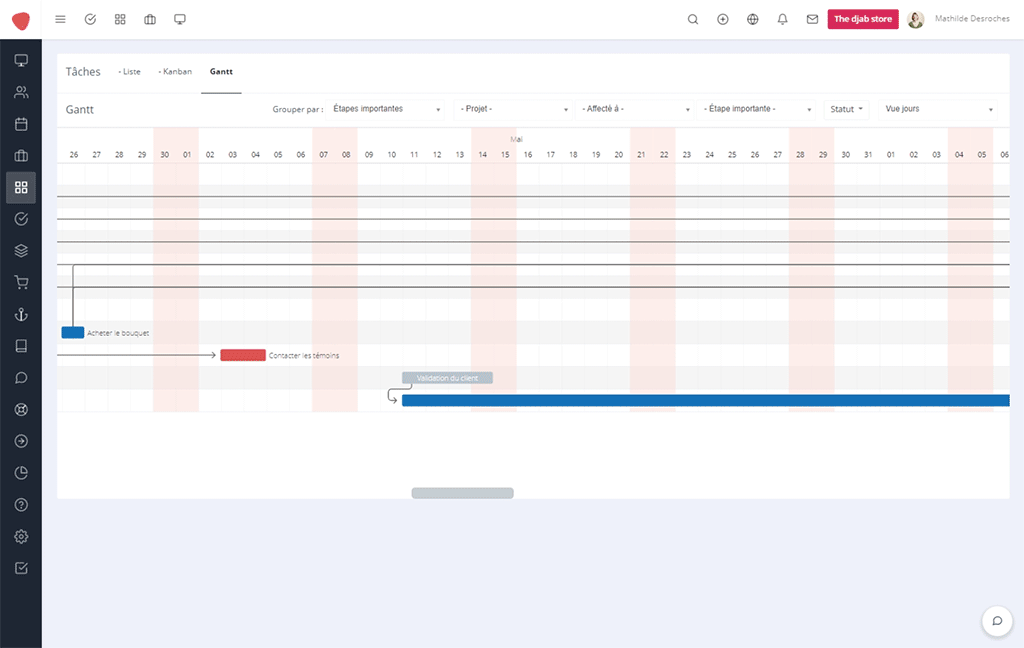 Tasks in a Gantt djaboo