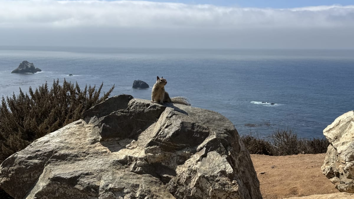 Big Sur 4