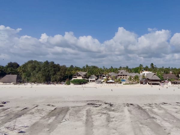 Wide white sand beach in Zanzibar with thatched-roof structures and dense palm trees