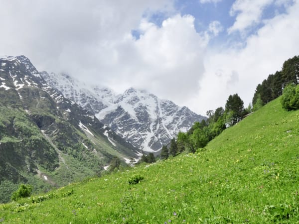 Alpine meadow with wildflowers and snow-covered peaks, Mount Elbrus Expedition