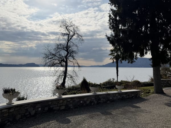 Lakeside terrace with stone wall, white urns, and palm tree in Verbania